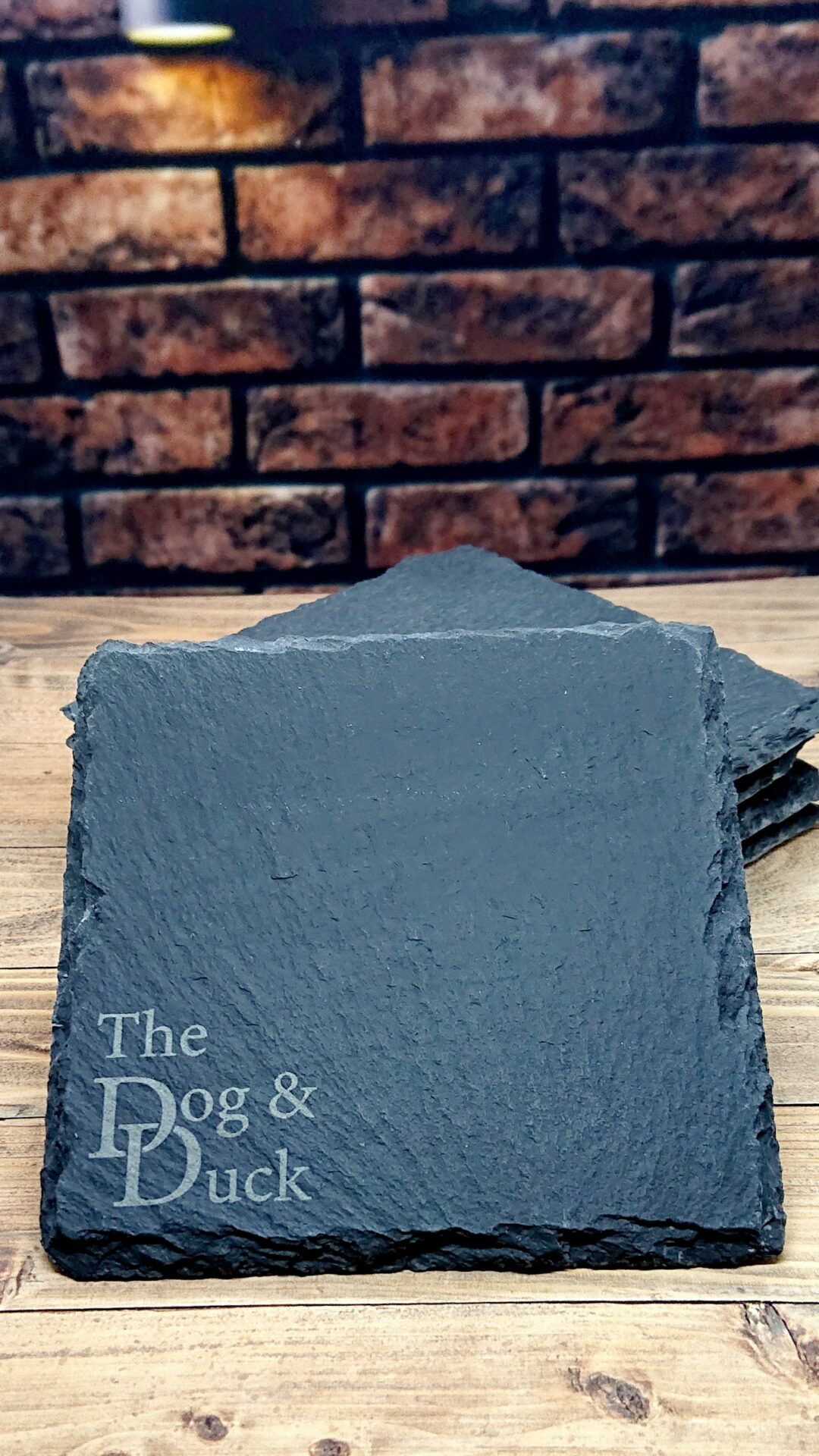 the dog and duck coaster 2