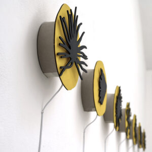 Dandelion clcoks - photo by James Elliot